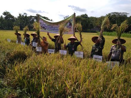 Panen Raya dan kordinasi persiapan musim tanam