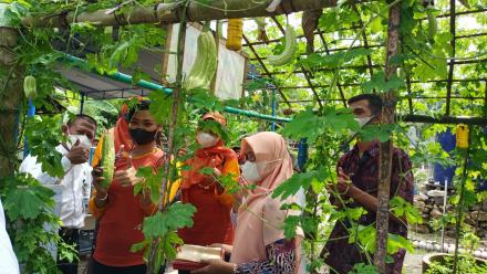 Pare Sayur Unggulan Kampung Sayur Trucuk Triwidadi