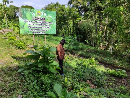 Cek Lokasi  Pengembangan Pertanian Budidaya Kelapa Genjah Entog