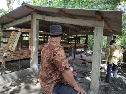 Cek Lokasi Pengembangan Budidaya Kambing Triwidadi