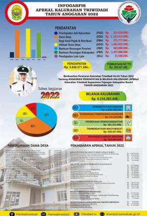 Infografis APBKal Triwidadi TA 2022