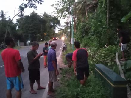 Penanganan Pohon Tumbang Yang Melintang dijalan Gesikan -Sedayu