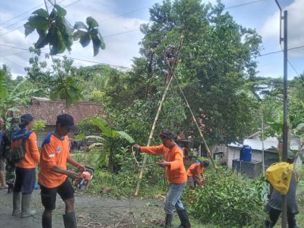 Mitigasi Pohon Tumbang di Butuh Lor