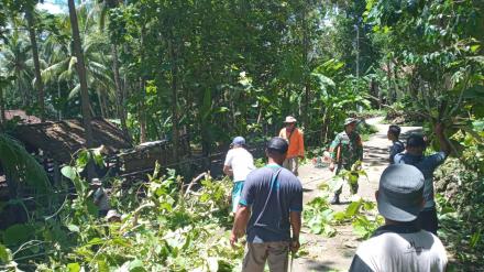 FPRB Bergerak membersihkan Pohon Tumbang di Butuh Lor