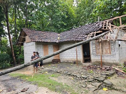 Pohon tumbang mengenai rumah warga  Jogonandan